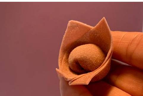 Quali sono tutte le tipologie di pasta ripiena? Non solo ravioli e tortellini. Eccole qui
