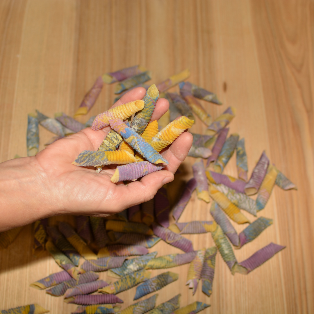 Garganelli multicolore