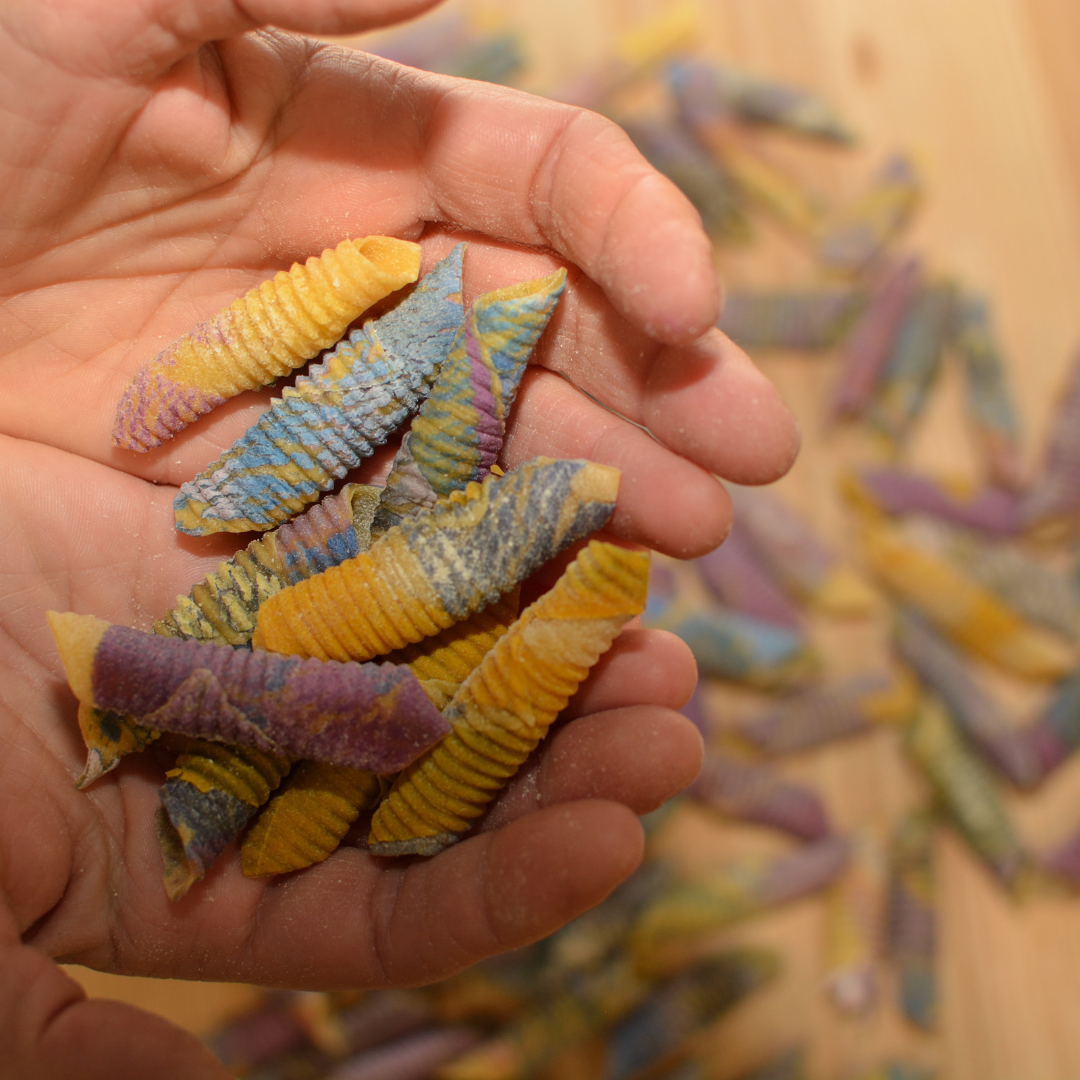 Garganelli multicolore